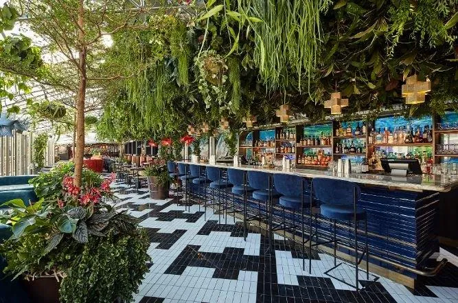 a long bar with a lot of plants growing on it